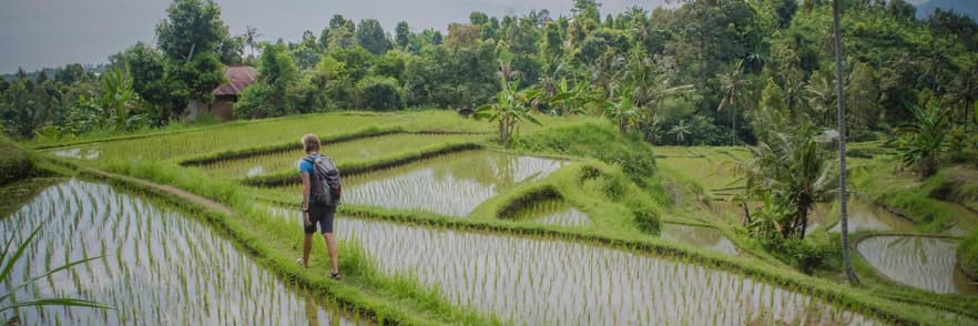 Immagine - Indonesia