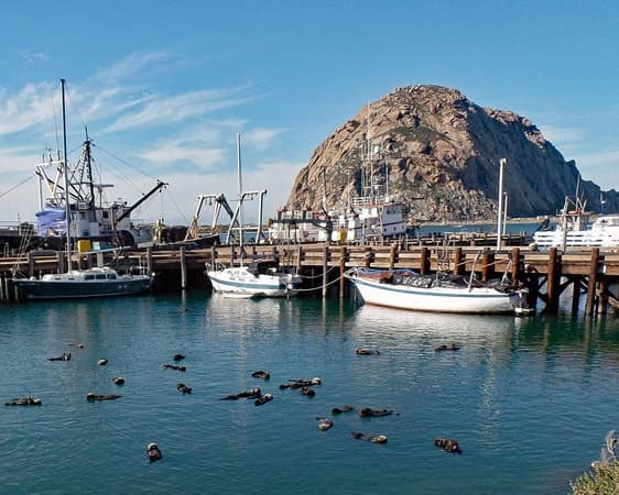 Morro Bay CA