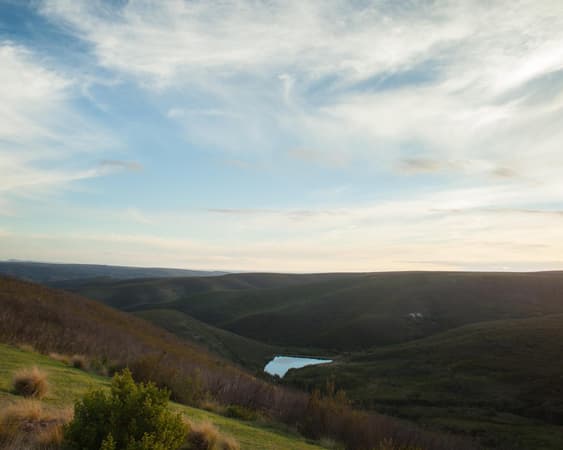 Gondwana Wildreservat