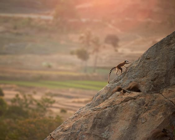 Sanbona Wildlife Reserve