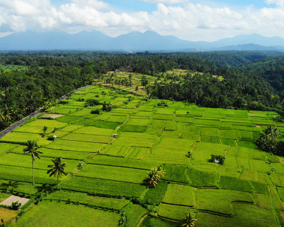 Ubud, Bali