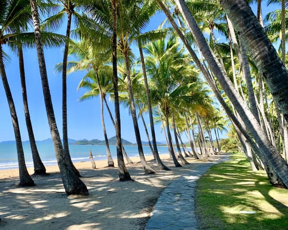 Palm Cove
