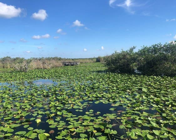 Everglades City FL