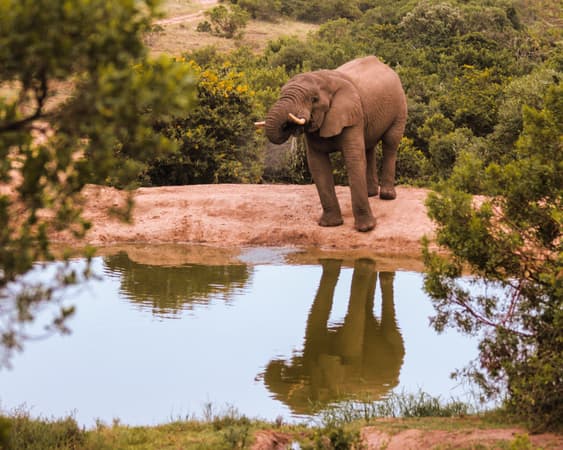 Sanbona Wildlife Reserve