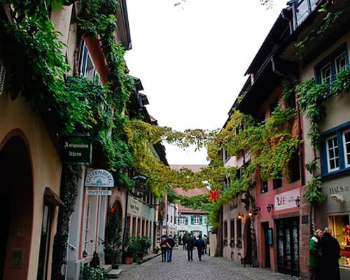 Freiburg im Breisgau