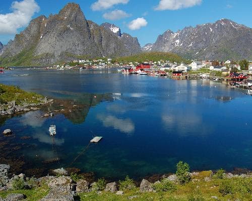 Reine