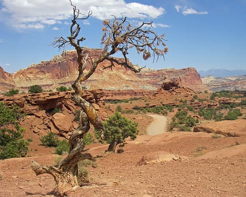 Capitol Reef