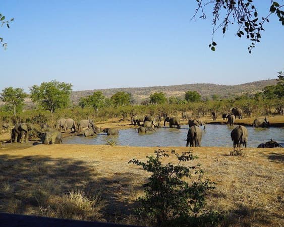 Kruger National Park