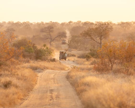 Sanbona Wildlife Reserve