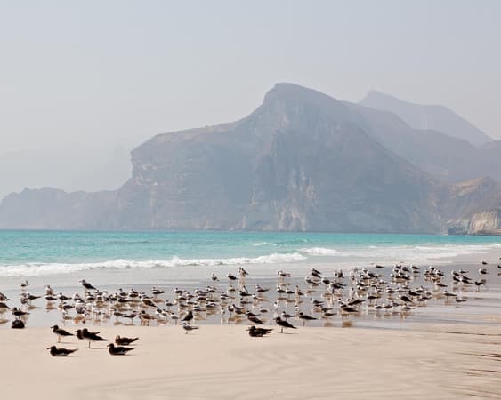 Salalah