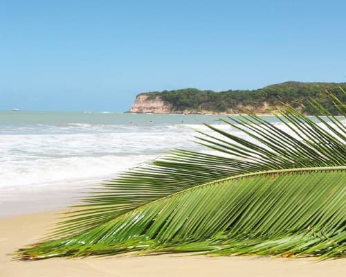 Tibau do sul