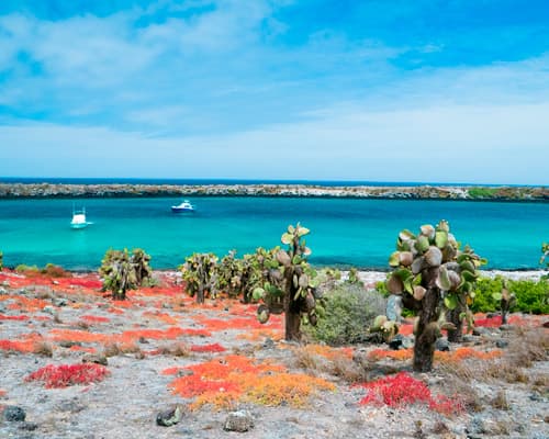 Le isole Galapagos