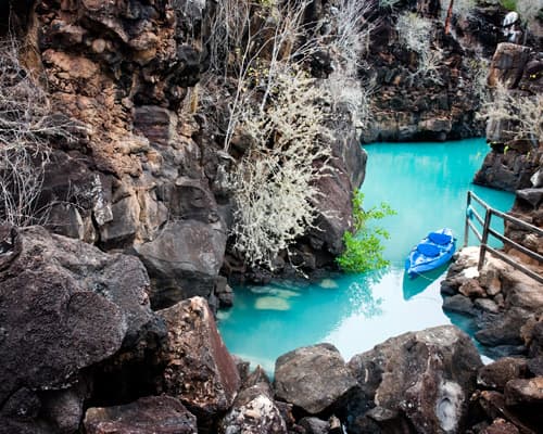 Le isole Galapagos