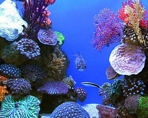 Turks and Caicos Islands