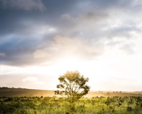 Gondwana Wildreservat