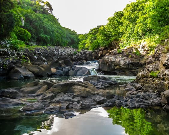 Black River Gorges National Park