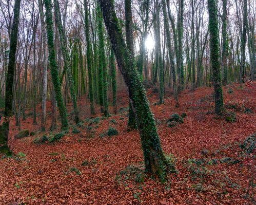 Parque Natural de la Zona Volcánica de la Garrotxa