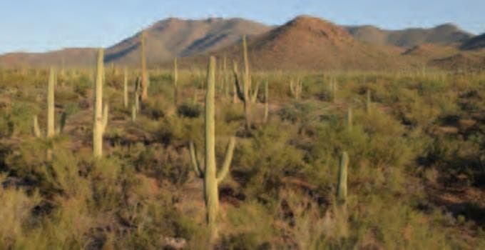 Imagen - National Park Explorer - Empezando en Los Angeles