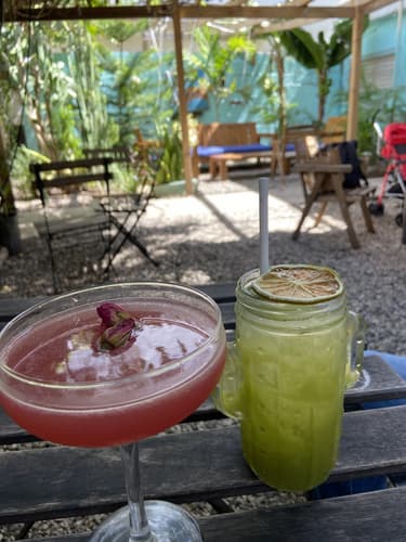 Imagem - Dom Rep Cocktail