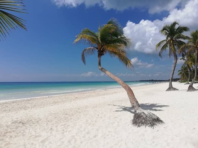 Immagine - Yucatan e Mare