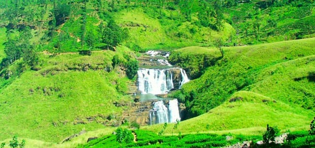 Imagen - Ceilán Cultural  (08 Días )