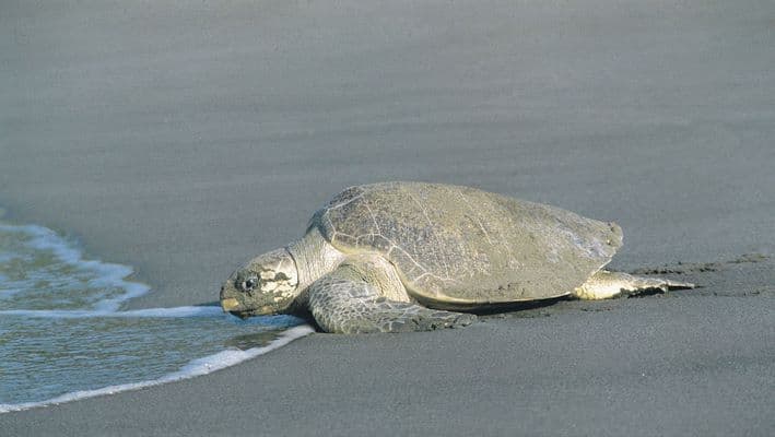 Kép - Karibik mal anders Rundreise