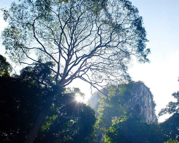 Bild - Kurztour "Der Norden Borneos"