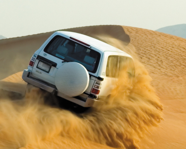 Immagine - Capodanno in Tunisia Tour d'Autore: tra Oasi, Deserto e Città Millenarie 