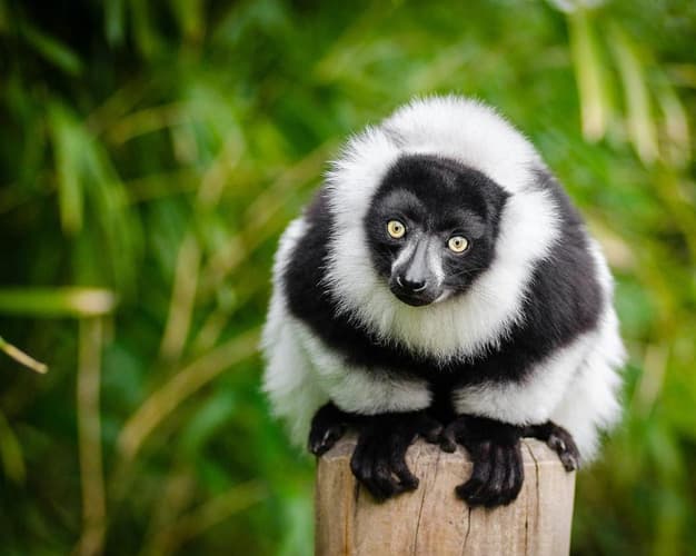 Imagen - Tour Nord e Costa della Vaniglia 