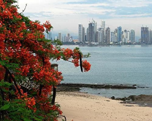 Billede - Rundreise "Stadt Land Strand"