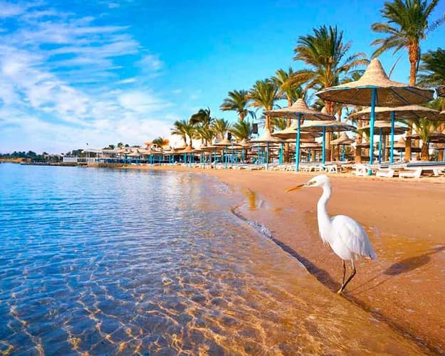 Imagen - EGIPTO AL COMPLETO Y EL MAR ROJO - HURGHADA