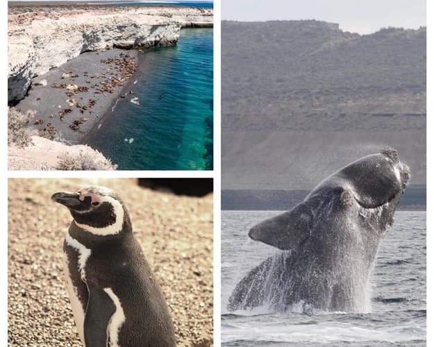 Bilde - Puerto Madryn (4 days/ 3 nights)