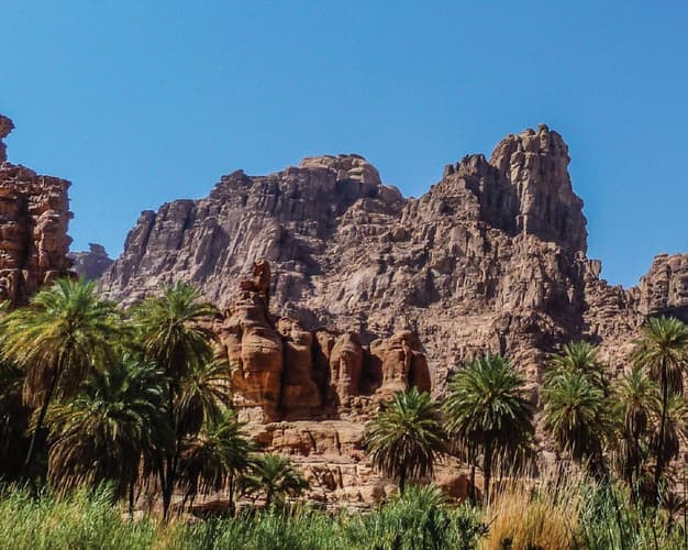 Bild - GD: KSA - DAS KOMPLETTE (Deluxe)