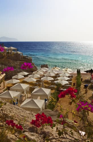 Изображение -  6 Days. 2n 5* JEDDAH (BB) I 3n 5* SHARM EL-SHEIKH (BB)