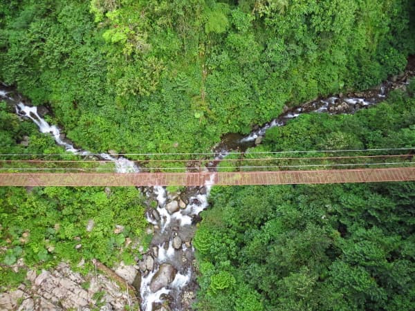 Bild - Rundreise "Best of Panama" (Panama City/Bocas del Toro)