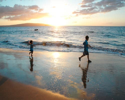 Bild - Dallas & Erholung auf Hawaii