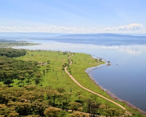 Bild - Nairobis Nationalparks mit dem Mietwagen & Baden Diani Beach
