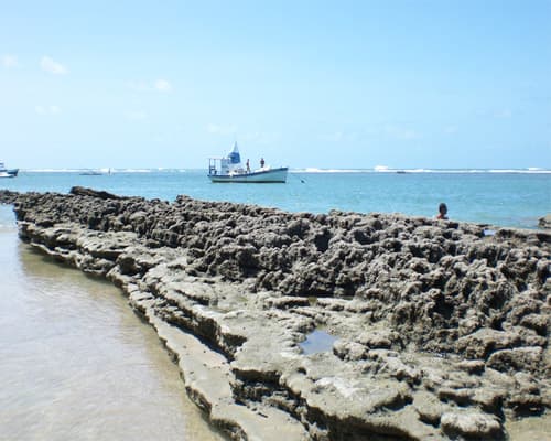 Imagem - Maragogi, Brazil FEBRERO