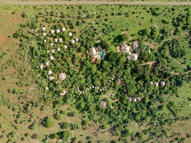 Imagen - Safari Pamoja