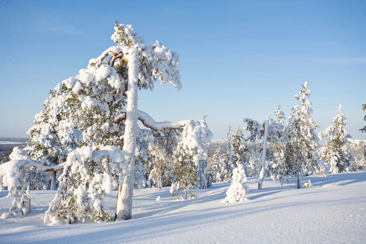 Imagen - Laponia Low Cost, directo desde Madrid