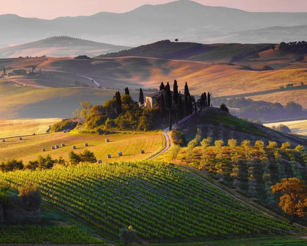 Immagine - Chianti, Tour degustazione vino e olio d'oliva