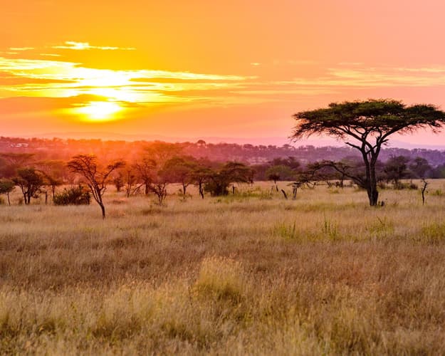 Obraz - Car rental tour “From Durban to Cape Town”