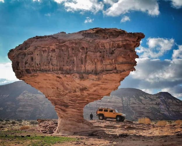 صورة - 7 Days. On The Go