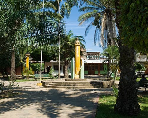 Image - Tour Lamas native