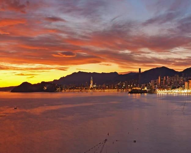 Obraz -  Enjoy Benidorm's gastronomy