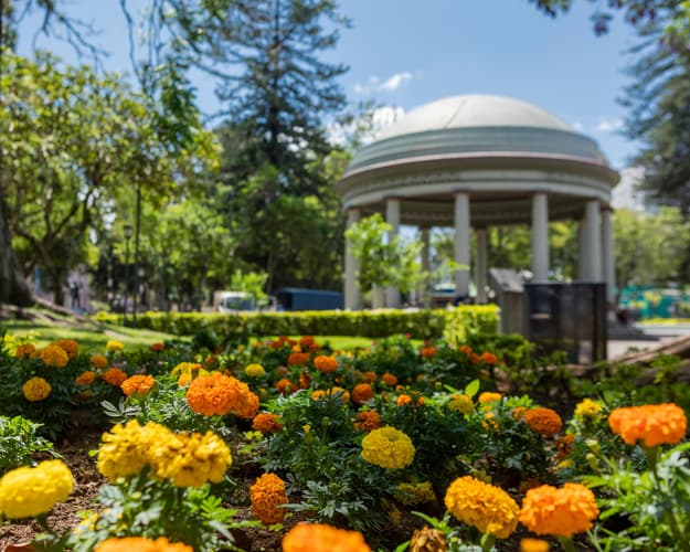 Imagen - San Jose, Costa Rica Zafiro