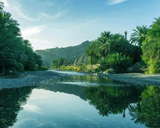 Billede - Private Kurztour "Vom Schildkrötenstrand ins Wüstencamp"