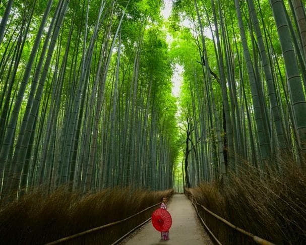 Beeld - Traditie en moderne wonderen Japan