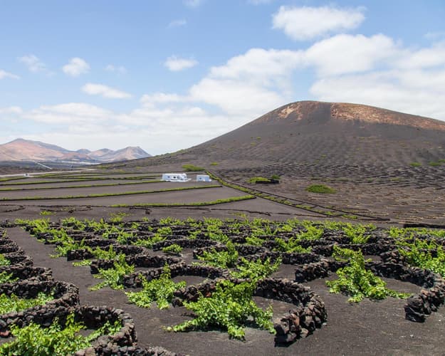 Image -  Island Hopping: Lanzarote, Fuerteventura & Gran Canaria