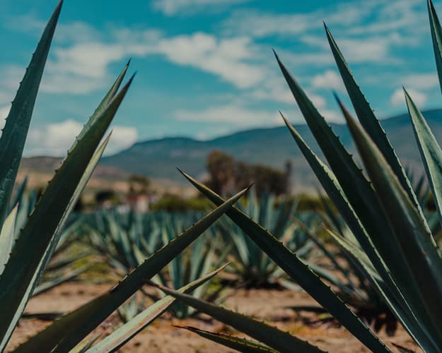 Image - Avión + Hotel, Ixtepec 26 al 29-Dic, 25